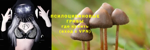 прущий лед Алексеевка