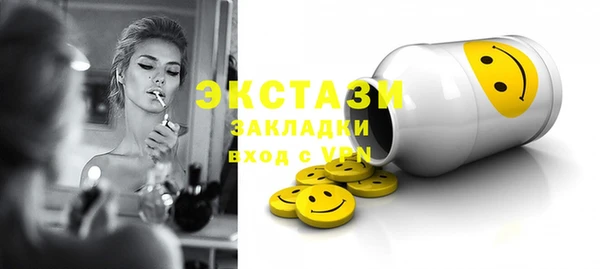 спиды Ельня