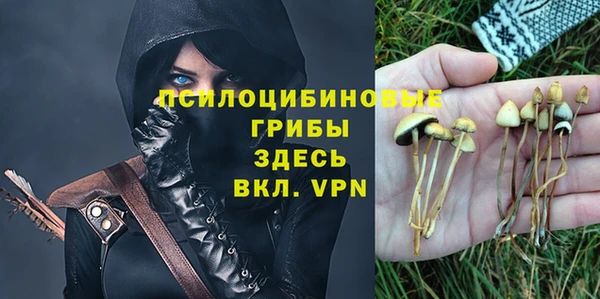 шишки Алзамай