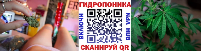 Шишки марихуана THC 21%  Кремёнки 